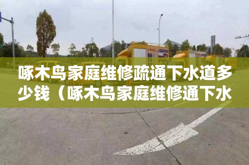 啄木鸟家庭维修疏通下水道多少钱（啄木鸟家庭维修通下水道报价单）