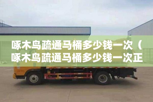 啄木鸟疏通马桶多少钱一次（啄木鸟疏通马桶多少钱一次正常）