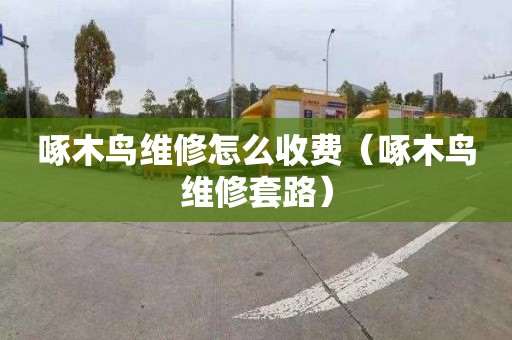 啄木鸟维修怎么收费（啄木鸟维修套路）