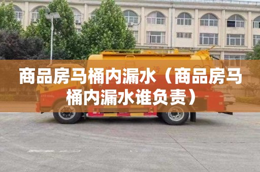 商品房马桶内漏水（商品房马桶内漏水谁负责）