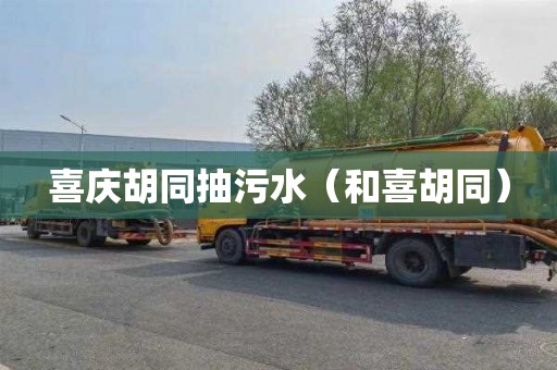 喜庆胡同抽污水（和喜胡同）