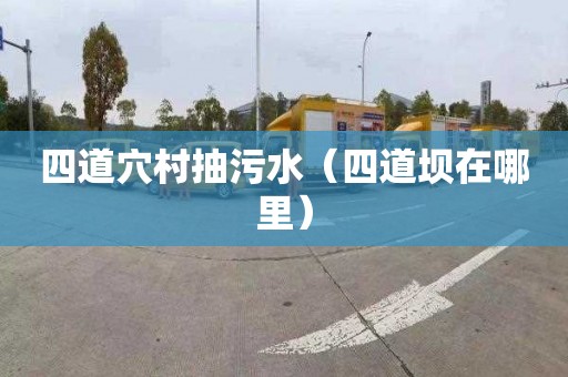 四道穴村抽污水（四道坝在哪里）