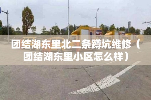团结湖东里北二条蹲坑维修（团结湖东里小区怎么样）