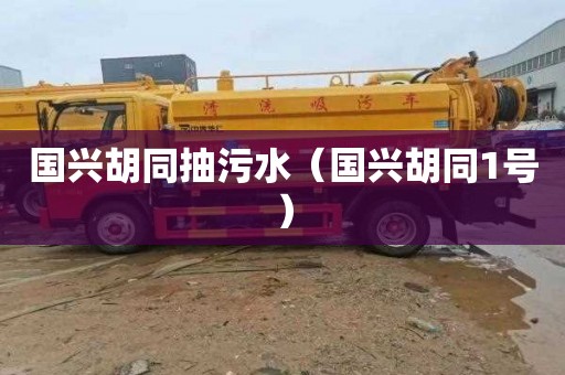 国兴胡同抽污水（国兴胡同1号）