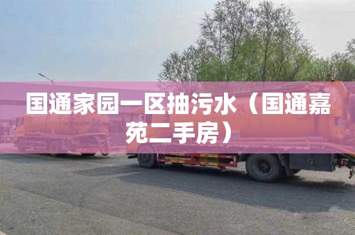 国通家园一区抽污水（国通嘉苑二手房）