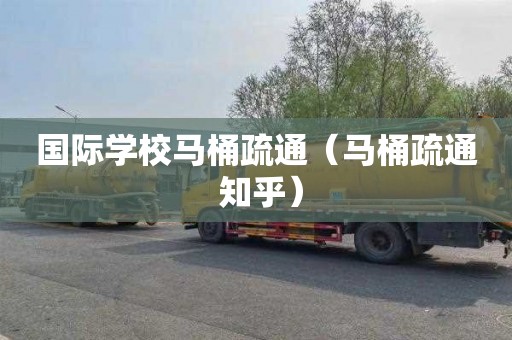 国际学校马桶疏通（马桶疏通 知乎）
