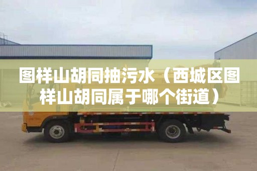 图样山胡同抽污水（西城区图样山胡同属于哪个街道）