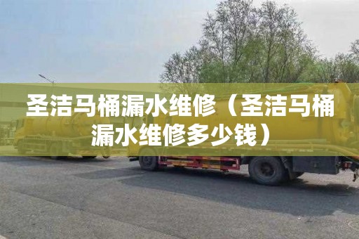 圣洁马桶漏水维修（圣洁马桶漏水维修多少钱）