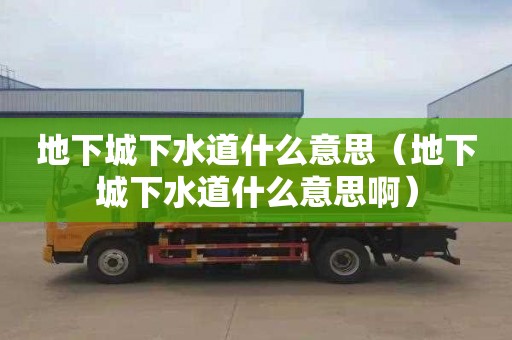 地下城下水道什么意思（地下城下水道什么意思啊）