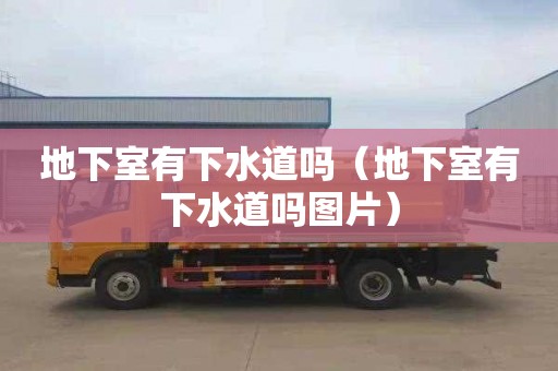 地下室有下水道吗（地下室有下水道吗图片）