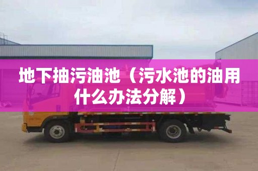 地下抽污油池（污水池的油用什么办法分解）