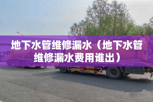 地下水管维修漏水（地下水管维修漏水费用谁出）