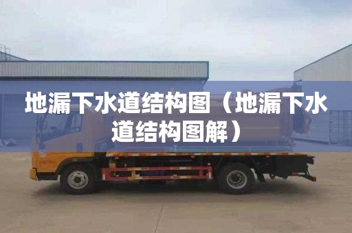 地漏下水道结构图（地漏下水道结构图解）