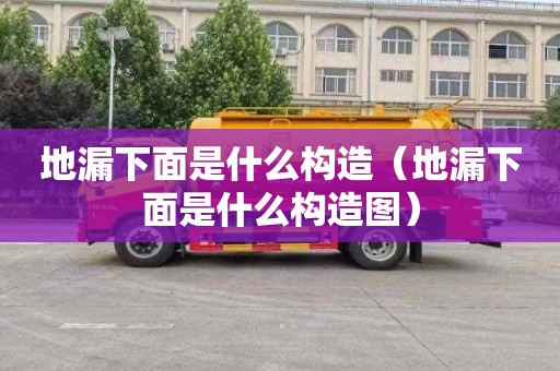 地漏下面是什么构造（地漏下面是什么构造图）