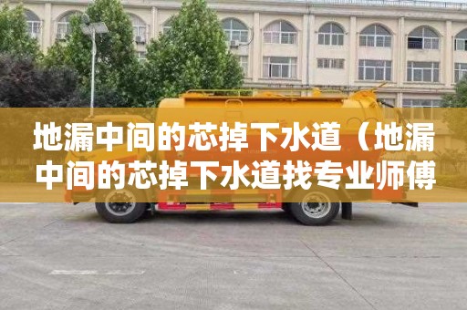 地漏中间的芯掉下水道（地漏中间的芯掉下水道找专业师傅得多少钱）