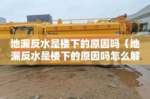 地漏反水是楼下的原因吗（地漏反水是楼下的原因吗怎么解决）