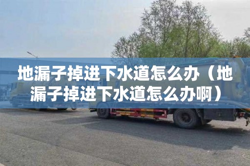 地漏子掉进下水道怎么办（地漏子掉进下水道怎么办啊）