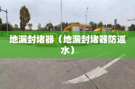 地漏封堵器（地漏封堵器防返水）