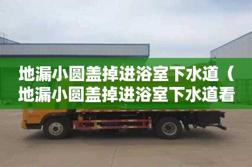 地漏小圆盖掉进浴室下水道（地漏小圆盖掉进浴室下水道看不见了）
