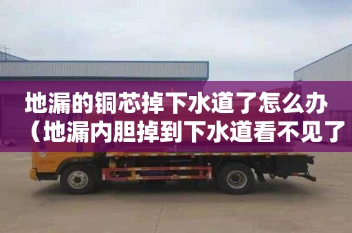 地漏的铜芯掉下水道了怎么办（地漏内胆掉到下水道看不见了）