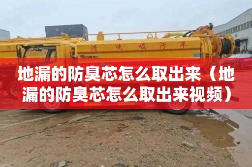 地漏的防臭芯怎么取出来（地漏的防臭芯怎么取出来视频）