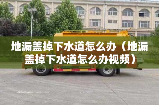 地漏盖掉下水道怎么办（地漏盖掉下水道怎么办视频）
