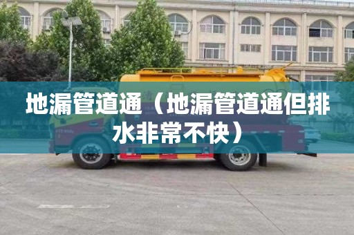 地漏管道通（地漏管道通但排水非常不快）