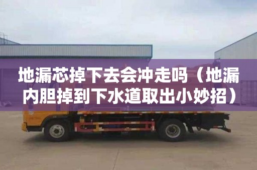 地漏芯掉下去会冲走吗（地漏内胆掉到下水道取出小妙招）
