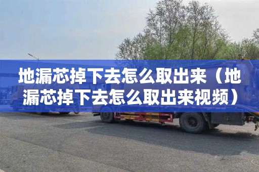 地漏芯掉下去怎么取出来（地漏芯掉下去怎么取出来视频）