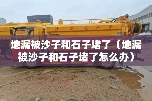 地漏被沙子和石子堵了（地漏被沙子和石子堵了怎么办）