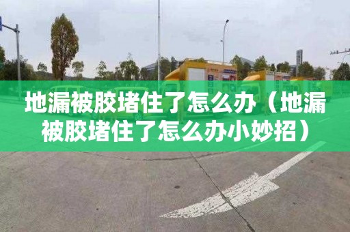 地漏被胶堵住了怎么办（地漏被胶堵住了怎么办小妙招）