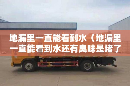 地漏里一直能看到水（地漏里一直能看到水还有臭味是堵了吗）