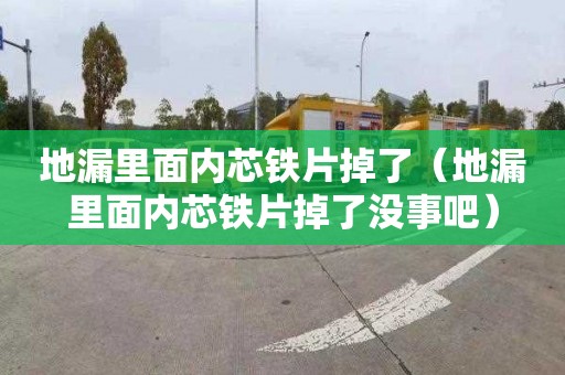地漏里面内芯铁片掉了（地漏里面内芯铁片掉了没事吧）