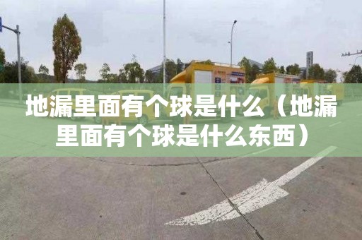 地漏里面有个球是什么（地漏里面有个球是什么东西）