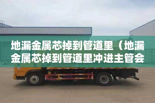 地漏金属芯掉到管道里（地漏金属芯掉到管道里冲进主管会怎样）