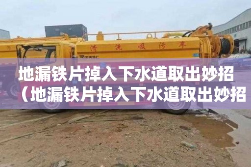 地漏铁片掉入下水道取出妙招（地漏铁片掉入下水道取出妙招视频）