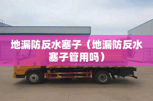 地漏防反水塞子（地漏防反水塞子管用吗）