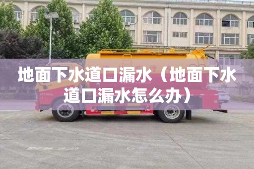 地面下水道口漏水（地面下水道口漏水怎么办）