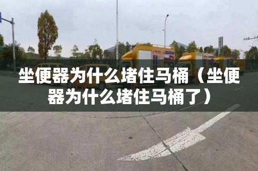 坐便器为什么堵住马桶（坐便器为什么堵住马桶了）