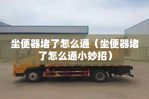 坐便器堵了怎么通（坐便器堵了怎么通小妙招）