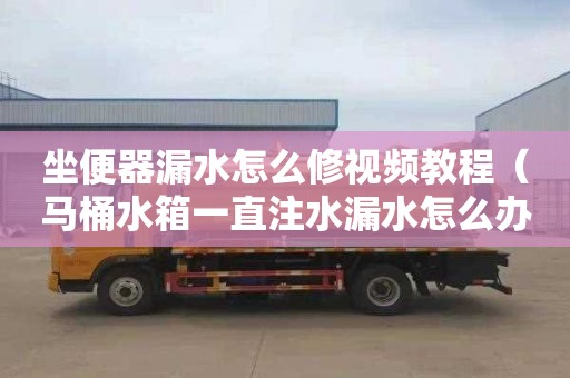 坐便器漏水怎么修视频教程（马桶水箱一直注水漏水怎么办）