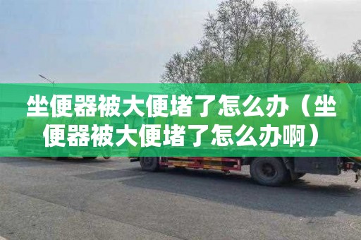 坐便器被大便堵了怎么办（坐便器被大便堵了怎么办啊）