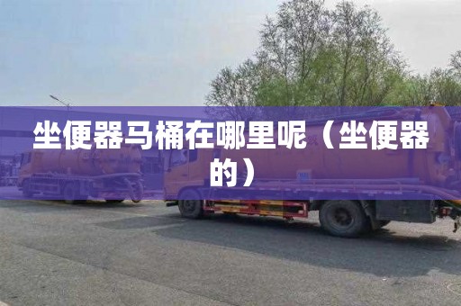 坐便器马桶在哪里呢（坐便器的）