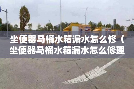 坐便器马桶水箱漏水怎么修（坐便器马桶水箱漏水怎么修理）