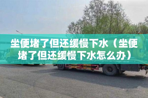 坐便堵了但还缓慢下水（坐便堵了但还缓慢下水怎么办）