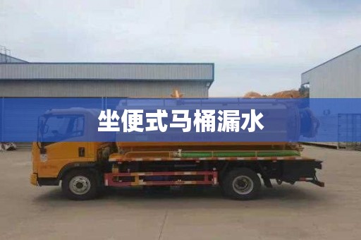 坐便式马桶漏水