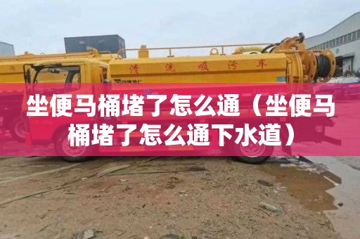 坐便马桶堵了怎么通（坐便马桶堵了怎么通下水道）