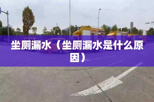 坐厕漏水（坐厕漏水是什么原因）