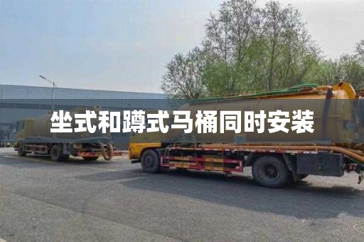 坐式和蹲式马桶同时安装