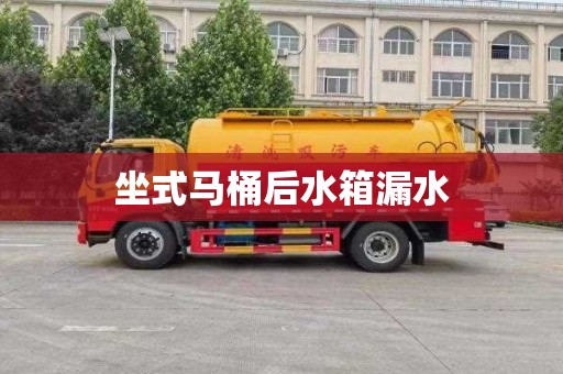 坐式马桶后水箱漏水
